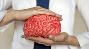 Escuela de la Memoria | El cerebro cambia rápido ¿Qué parte quieres cambiar?