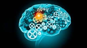 Escuela de la Memoria | Relación entre imaginación y memoria