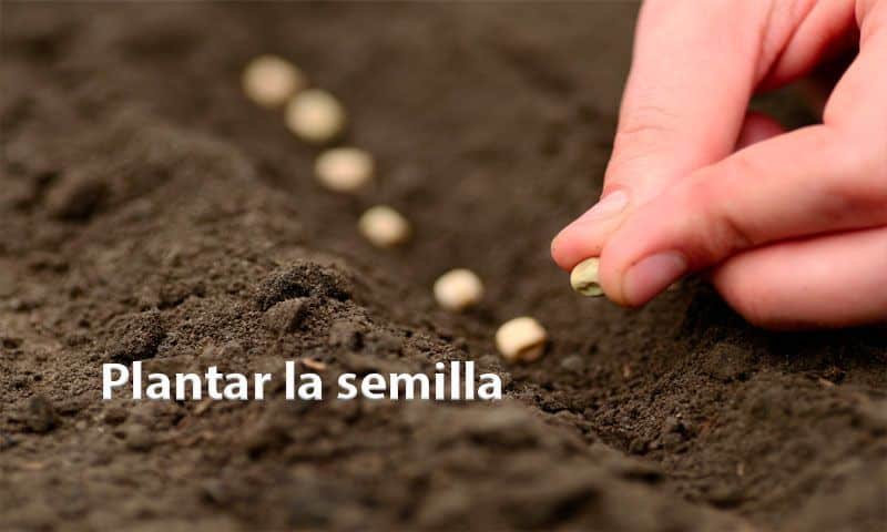 Escuela de la Memoria | Plantar la semilla