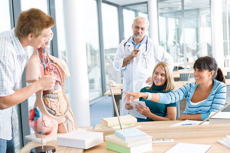 Escuela de la Memoria | Técnicas para estudiar Medicina: cómo memorizar los hitos del desarrollo